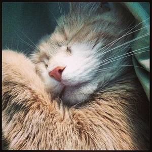 Meet your Posher, Jen